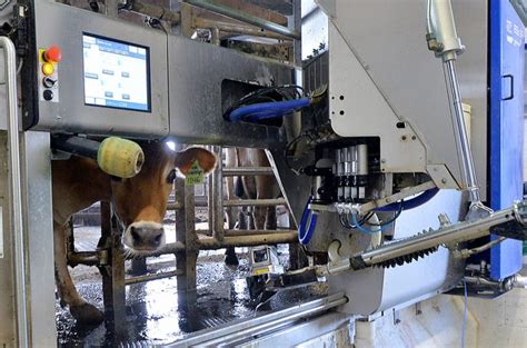 milking robots for sale  In the last two articles, we talked about udder health