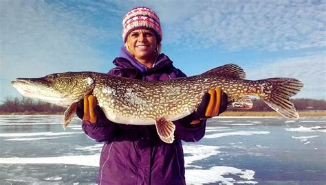 mille lacs ice fishing report  There is also another gift store, The Copper Fox