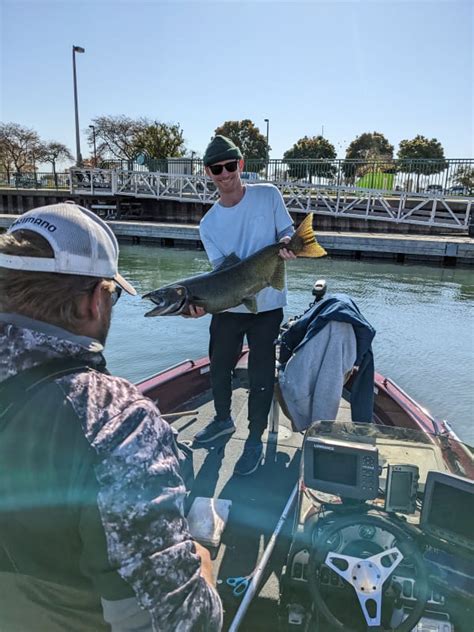 milwaukee harbor fishing report In 2013, Brent decided to turn his passion into a full-time career and launched "Safe Harbor Fishing"