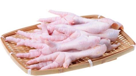 mimpi beli ceker ayam <b>iares nad ,malas nuad ,kurej nuad nakkusam naidumeK;008</b>