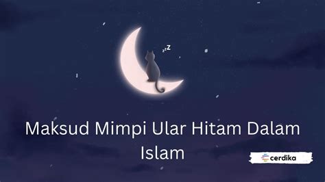 mimpi beruang hitam dalam islam  Arti Mimpi Melihat Ular