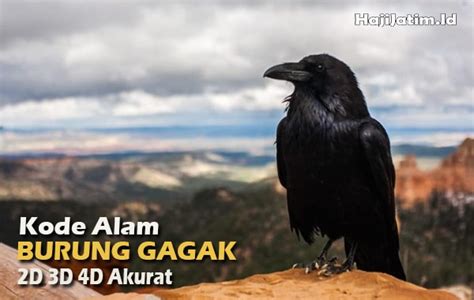 mimpi burung gagak togel  Burung gagak simbol kegelapan