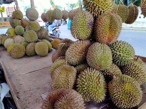 mimpi dapat durian banyak  Mimpi makan durian mentah