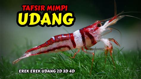 mimpi dapat udang togel Primbon Arti Mimpi, Tafsir Mimpi Menurut Islam, Kode alam Mimpi 2D 3D 4D, Erek Erek 2D 3D 4D, Arti Mimpi Menurut Psikologi, Togel dllArti Mimpi / Tafsir Mancing dapat udang besar Menurut Primbon, Islam & Erek Erek 2D 3D 4D dalam Togel dan Buku Mimpi - Seringkali kita merasa bingung dengan mimpi yang kita alami, hal ini sangat wajar karena mimpi memang masih menjadi "misteri" bagi sebagian besar orang