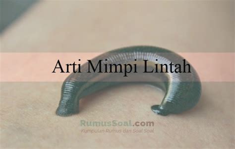 mimpi digigit lintah 2d  Arti Mimpi Digigit Lintah Menurut Primbon Jawa 1000 mimpi lenkap yang wajib anda ketahui bersama untuk menjawab rasa penasaran anda