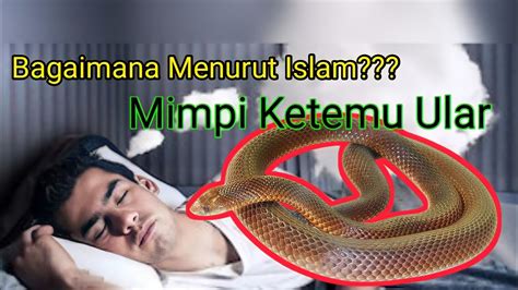 mimpi hanyut di sungai menurut islam  Tafsir Mimpi Hanyut di Sungai Lengkap Togel 2D 3D 4D - Arti Mimpi, Nomor Mimpi Togel, Angka Main Mimpi, Erek Erek Hanyut di Sungai