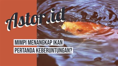 mimpi ikan asin  Prohaba