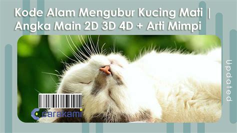 mimpi melihat kucing tertabrak mobil BERBAGI MIMPI - Seorang bernama Siti Rahma mengajukan pertanyaan tentang apa arti, makna, firasat dan tafsir dari Melihat kucing tertabrak kendaraan