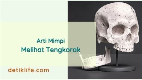 mimpi melihat tengkorak hidup Arti Mimpi Melihat Ular Besar Dalam Islam