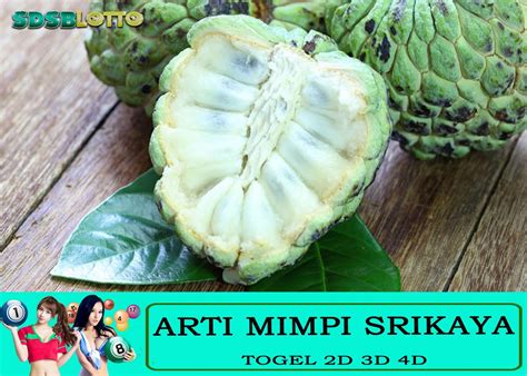 mimpi memetik buah srikaya togel  Tafsir Dibalik Mimpi: Mendapat panggilan kerja; Tafsir Dibalik Mimpi: Mimpi menelan batu akik; Tafsir Dibalik Mimpi: Memetik buah kopiIf you’re searching for arti mimpi buah pisang togel pictures information linked to the arti mimpi buah pisang togel keyword, you have come to the right site