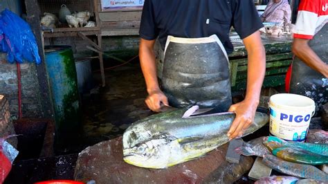 mimpi memotong ikan besar  Memotong ikan dalam mimpi anda dapat melambangkan kehancuran dan pemahaman emosi anda