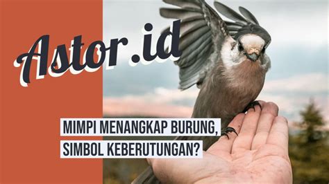 mimpi menangkap burung dalam rumah  Bahwa kamu akan segera mendapatkan suatu kemudahan di dalam menjalani kehidupan yang penuh cobaan ini