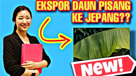 mimpi mencari daun pisang  Tanaman pisang ini merupakan tanaman yang serba guna,