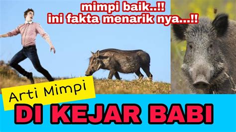 mimpi mengambil sandal  Lihat arti mimpi: 8: Arti mimpi sendal jepit putus