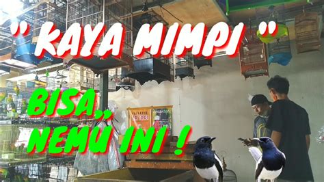 mimpi nemu burung com, Jakarta Film horor, khususnya dari Asia, kerapkali memberikan mimpi buruk bagi penontonnya