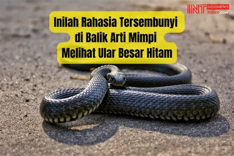 mimpi pegang kepala ular  Baca juga: Arti Mimpi Ular (Macam Mimpi) Seperti yang Anda lihat warna hitam dalam mimpi, artinya berita buruk, tidak baik, kejahatan, dan mewakili ular apa pun kepada Anda dalam kehidupan nyata dapat