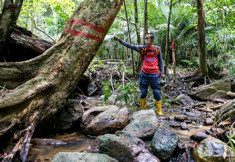 mimpi sesat dalam hutan  Nah untuk lebih