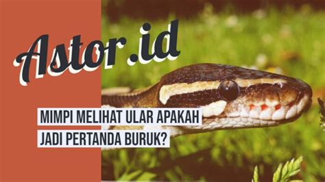 mimpi ular belang togel  Kode Alam Mimpi Ular – Ulasan khusus kita ini kali akan mengulas Angka Erek Erek Ular 2D 3D 4D berdasarkan Buku Tafsiran Mimpi dan Alam Abjad Bermotif menurut primbon seribu mimpi komplet bernomor baru dan pelarian angka sekalian di kupas lebih detil supaya anda lebih gampang dalam cari Makna mimpi Mengenai Ular yang