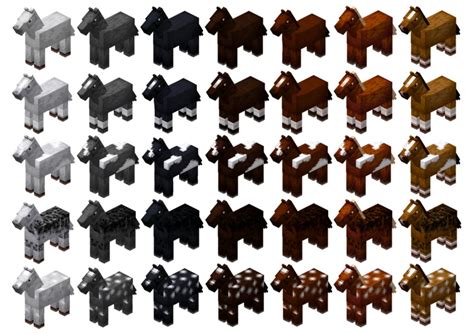 minecraft all horse variants 74 and 14