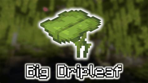 minecraft big dripleaf  When Cliffs and Caves Part Two is released, a new biome called the Lush