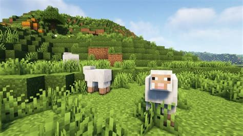 minecraft can sheep eat mycelium Looks like percolation theory, and thus probably pretty hard unless someone has studied it before