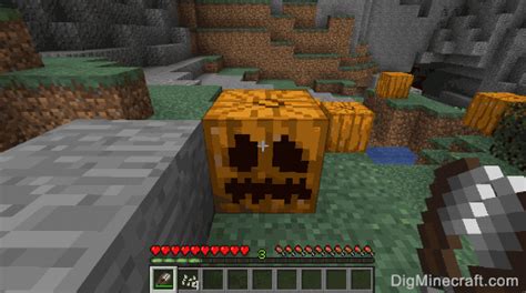 minecraft carved pumpkin In this video, I show you how to make a custom hat to replace your carved pumpkin model with in minecraft! Hat Resource Pack: explains why pumpkins have stems on the bottom of them, pumpkins are already carved, and they appear so rarely