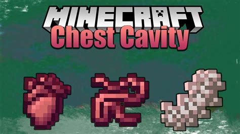 minecraft chest cavity mod wiki -Direbats: A chest cavity is assigned to the direbats