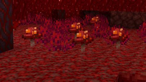 minecraft crimson nylium  There are two forms of fungi available in the Nether; crimson and warped