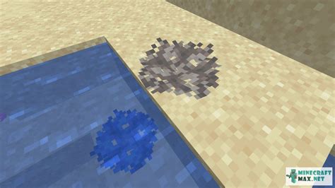 minecraft dead coral fan  Ce bloc ne peut pas être obtenu simplement dans le jeu, mais il est possible de l'avoir grâce à l'enchantement Silktouch