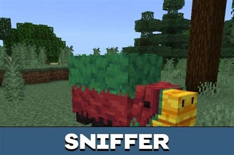 minecraft download 1.19.24 19