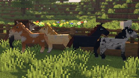 minecraft equestrian texture pack 8k 19