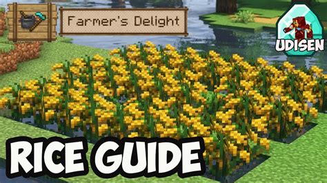 minecraft farmer's delight rice panicle 