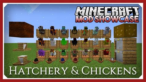 minecraft hatchery mod Be a real life chicken farmer