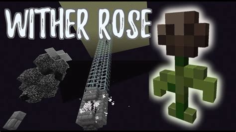 minecraft how to get wither rose Find a Wither Rose: Wither Roses can be found in the Nether, in the soul sand valleys biome