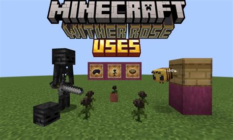 minecraft how to get wither rose  It is usually difficult for the player to see how much health they have left, as it turns the player's health bar black