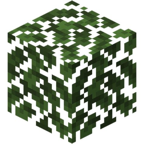 minecraft leaves texture  White Leaves Grass in Snow texture pack changes the colors of leaves and plants in snow biomes to shades of white