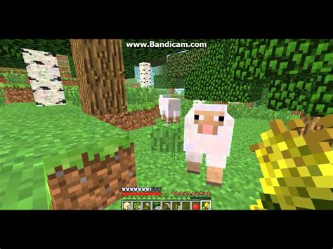 minecraft lure sheep  Find a Donkey