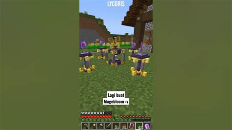 minecraft magebloom Comment by ZookCloak I just got very, very lucky