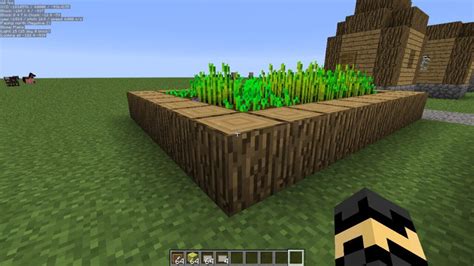 minecraft minihud  It is good for the in-game screen to display important and necessary information