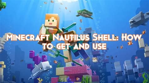 minecraft nautilus shell farm  Therefore it is meaningless to possess these shells as its prospects are almost nonexistence