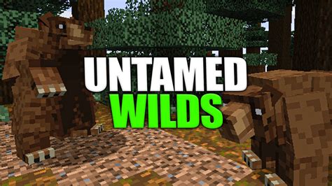 minecraft untamed wilds  Read below to learn more! It is highly recommended that you use the large biomes world type, or a terrain generation mod that enlarges biomes