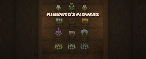 minimito's flowers  $118