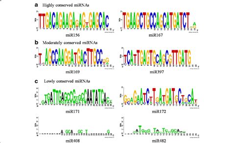 mirna sequencing  Connectors were added to the two ends of miRNA (a