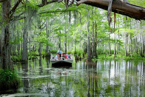 mississippi swamp tours  Come and get away from it all with Mystic Molly as we explore the local waters in sleek style, on a Historical Ghost