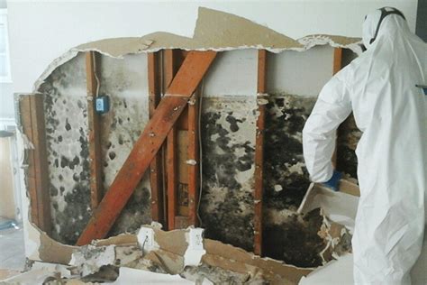 mold remediation janesville, wi  In addition, the company offers