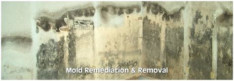 mold remediation wisconsin dells, wi  Showing: 21 results for Mildew Remediation near Wisconsin Dells, WI