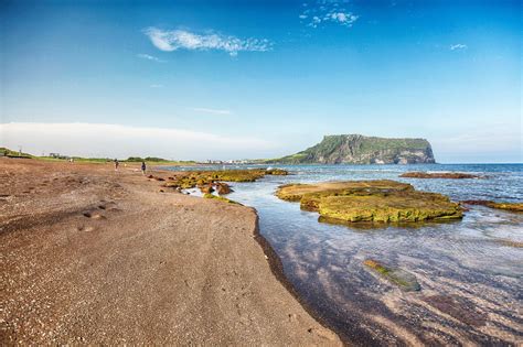 monkey beach jeju  1