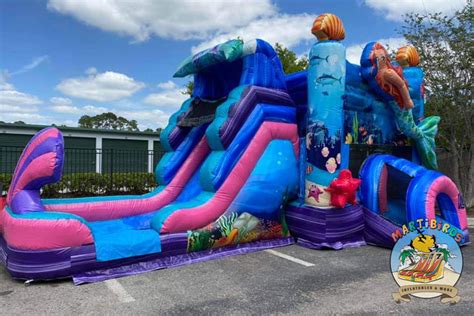 moon walk rentals houston  Contact us for reservation Now is time to start planning Christmas events!!!Another item that you may want to rent with your inflatable is a generator to keep the bounce house inflated