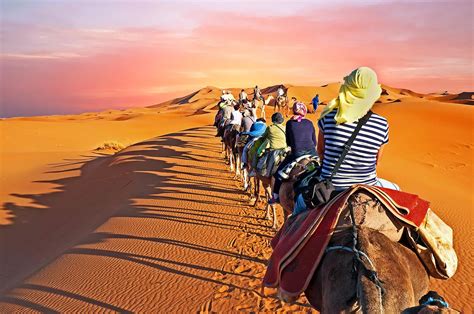 morocco escorted tours  From