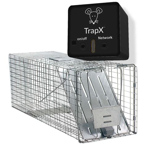 mouse guard mouse trap  Unlike bait settings and glue traps, mouse traps cannot catch several mice